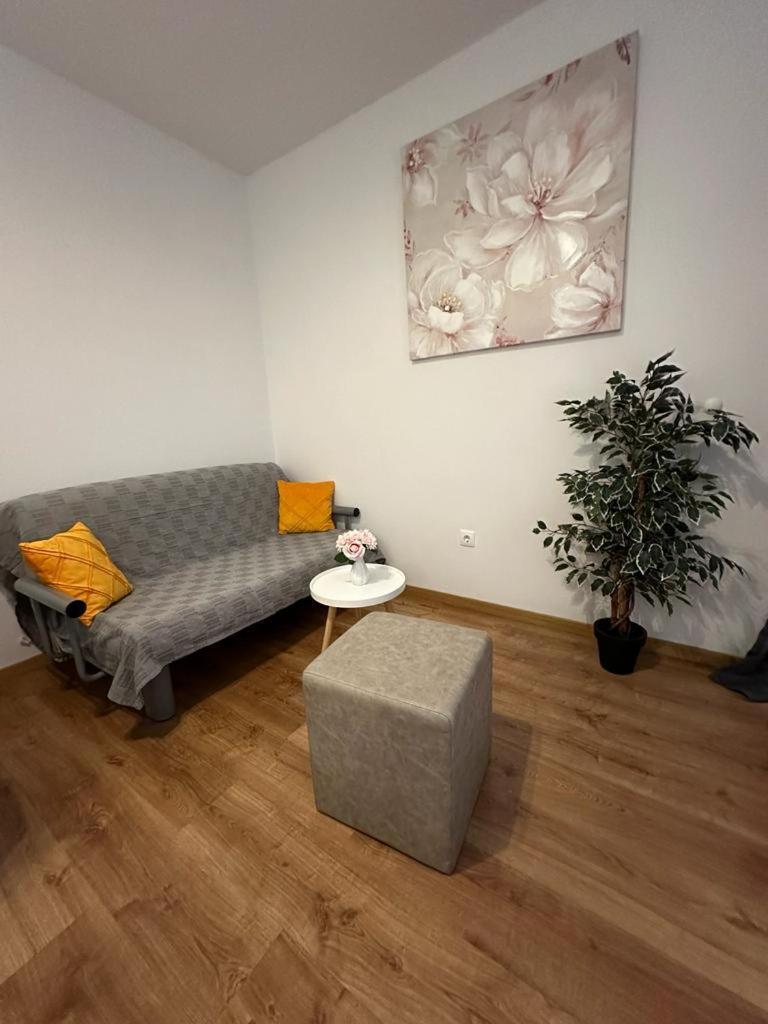 Apartmani Vice Brela Eksteriør bilde